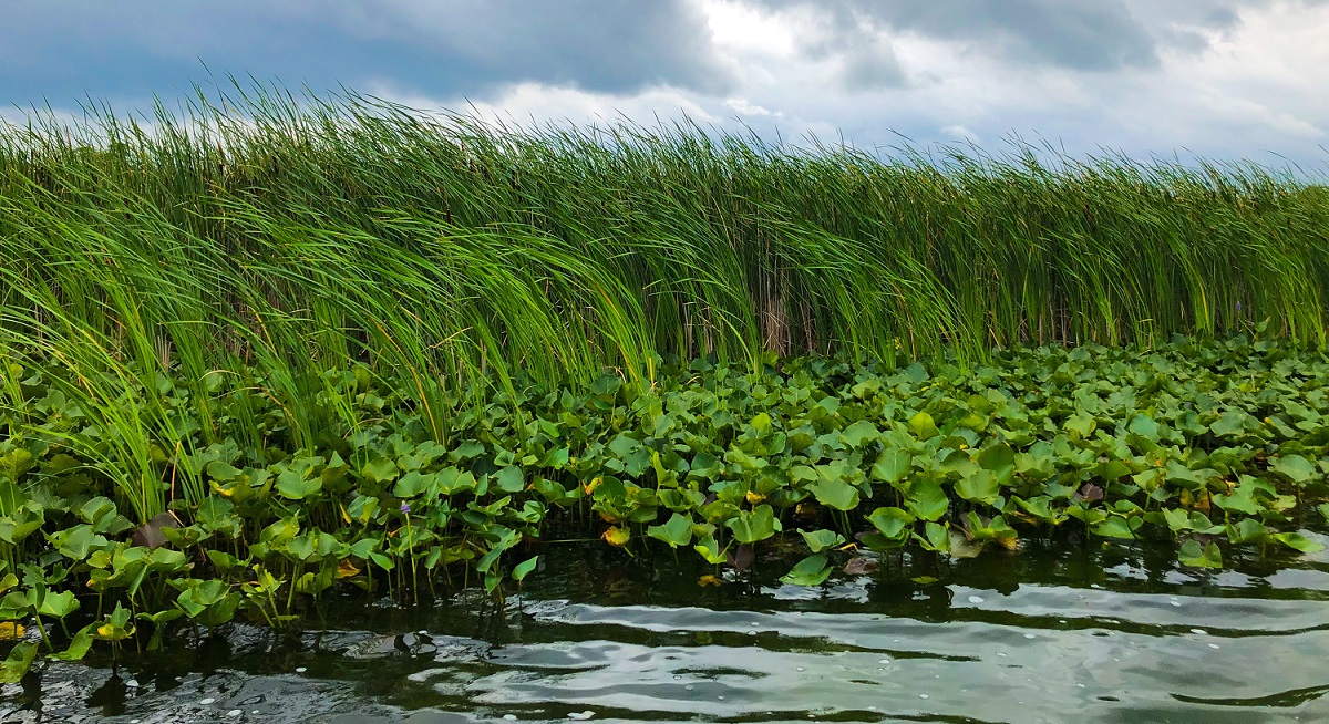 Wawasee Inlet Nutrient Study Diligent Work for Better Water INRF
