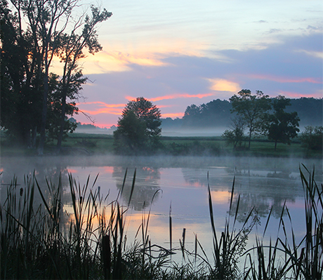 Statistics image about indiana wetlands